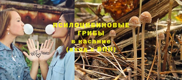 ешки Беломорск