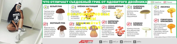 винт Белокуриха