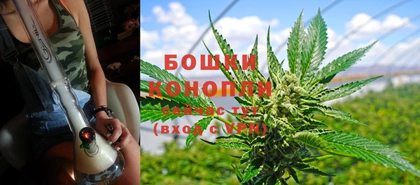 винт Белокуриха